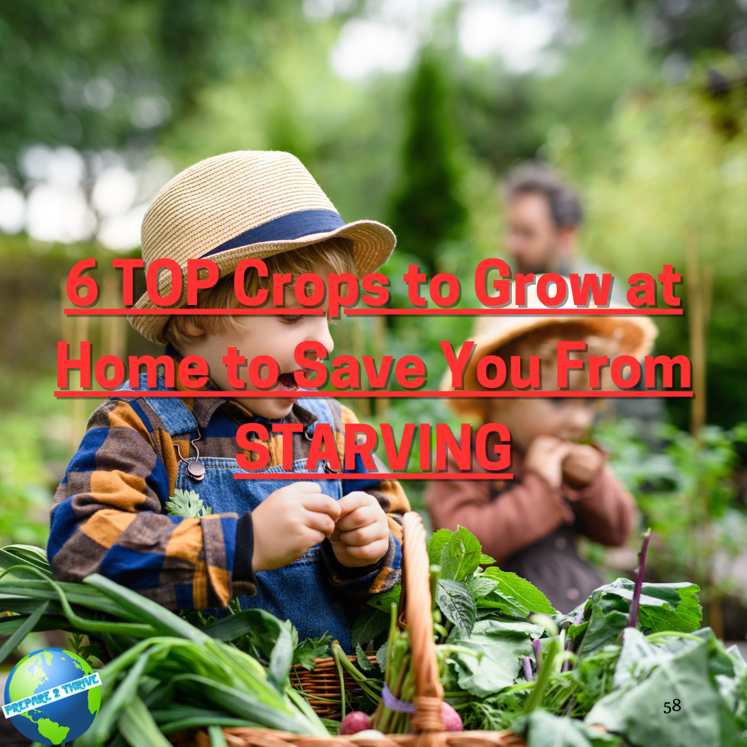 6 TOP Crops to Grow at Home to Save You From STARVING